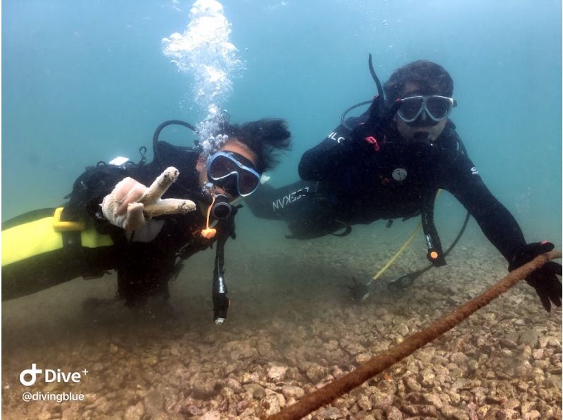 【埼玉・川口】PADI　OWダイバーを取得しよう