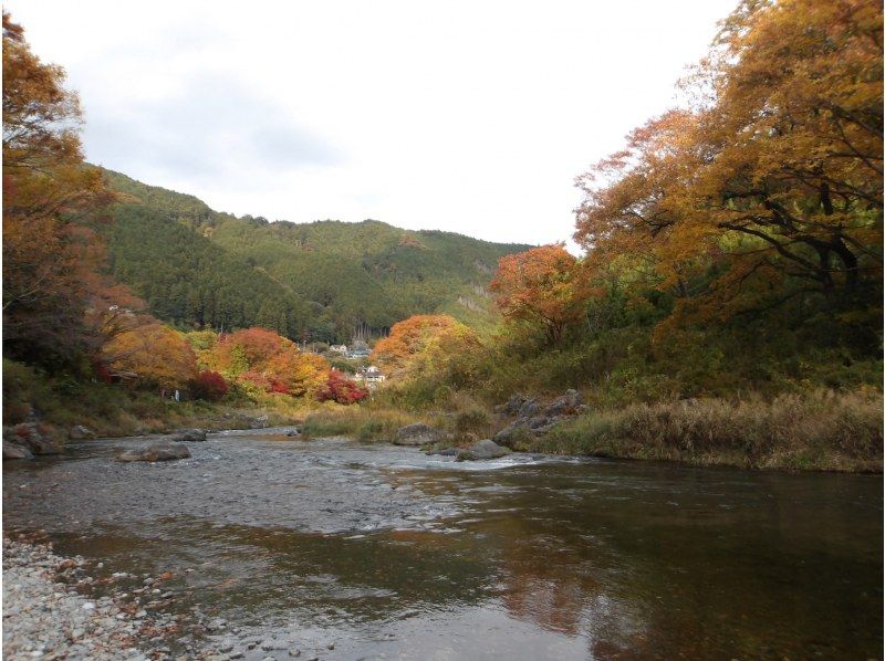 【東京・御岳】11/15（日）開催！紅葉のグラデーションが美しい渓谷ヨガ｜庭園＆古民家カフェの紹介画像