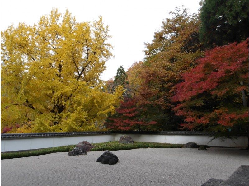 【東京・御岳】11/15（日）開催！紅葉のグラデーションが美しい渓谷ヨガ｜庭園＆古民家カフェの紹介画像