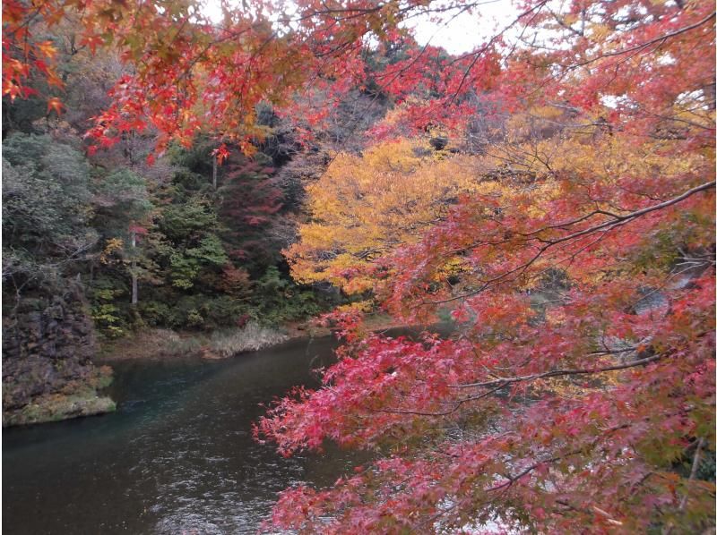 【東京・御岳】11/15（日）開催！紅葉のグラデーションが美しい渓谷ヨガ｜庭園＆古民家カフェの紹介画像