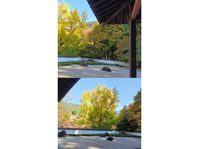 【東京・御岳】11/15（日）開催！紅葉のグラデーションが美しい渓谷ヨガ｜庭園＆古民家カフェの紹介画像