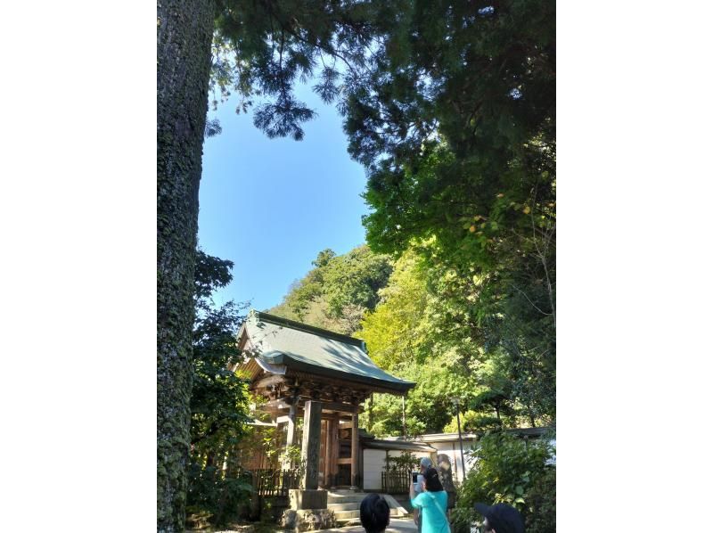 【東京・高尾山】12/20（日）開催！高尾山からダイヤモンド富士を見よう！ヨガ・気功で心身リフレッシュの紹介画像