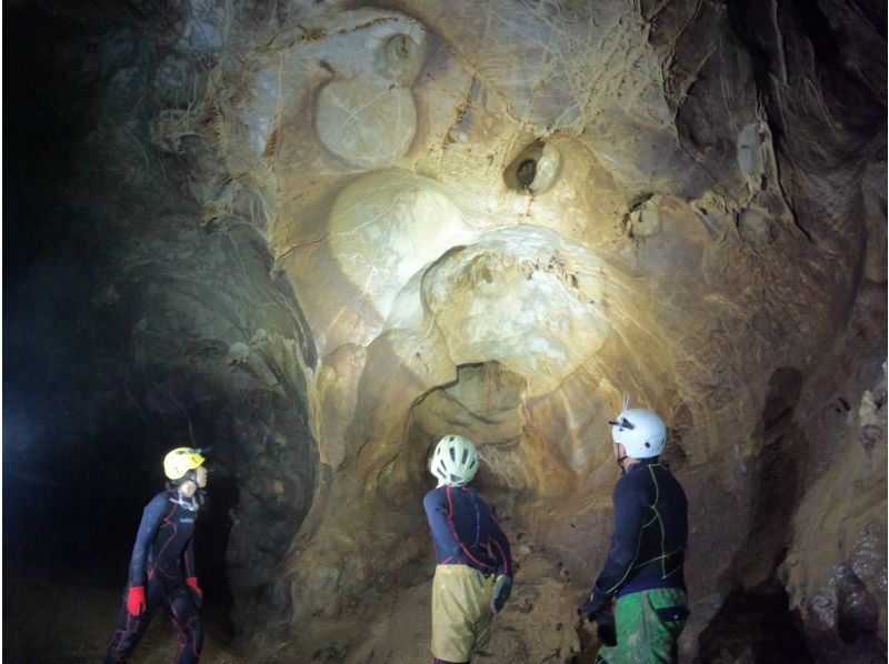 【岡山・新見】恐るべし深さの漆黒の地下水脈に飛び込み、泳ぐ！岡山ケイブスイミングの紹介画像