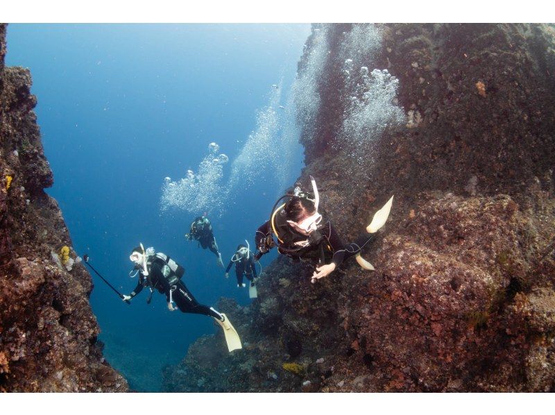 [冲绳/边户岬]边户岬粉丝潜水（带装备和GoPro），含往返交通の紹介画像