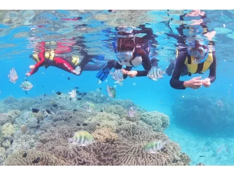 แผนเช่าเหมาลำโดยสมบูรณ์ [ใกล้ Churaumi] การดำน้ำตื้น(Snorkeling) & แผน SUP [ภาพถ่ายประสบการณ์การให้อาหารผ้าเช็ดตัวรวม] สำนักงานใหญ่ภาคเหนือ Nago, Nakijinの紹介画像