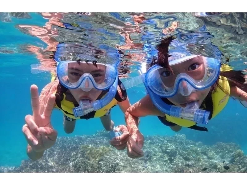 แผนเช่าเหมาลำโดยสมบูรณ์ [ใกล้ Churaumi] การดำน้ำตื้น(Snorkeling) & แผน SUP [ภาพถ่ายประสบการณ์การให้อาหารผ้าเช็ดตัวรวม] สำนักงานใหญ่ภาคเหนือ Nago, Nakijinの紹介画像