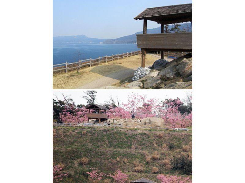 【山口・上関】浪漫あふれる海峡の町　上関をめぐるツアー