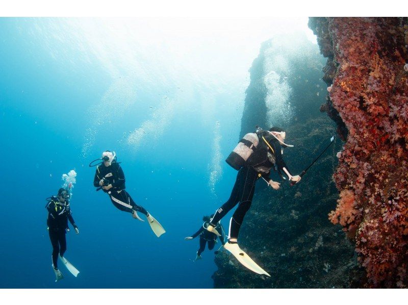 [Okinawa, Cape Hedo] Cape Hedo Fun Diving with Equipment & GoProの紹介画像