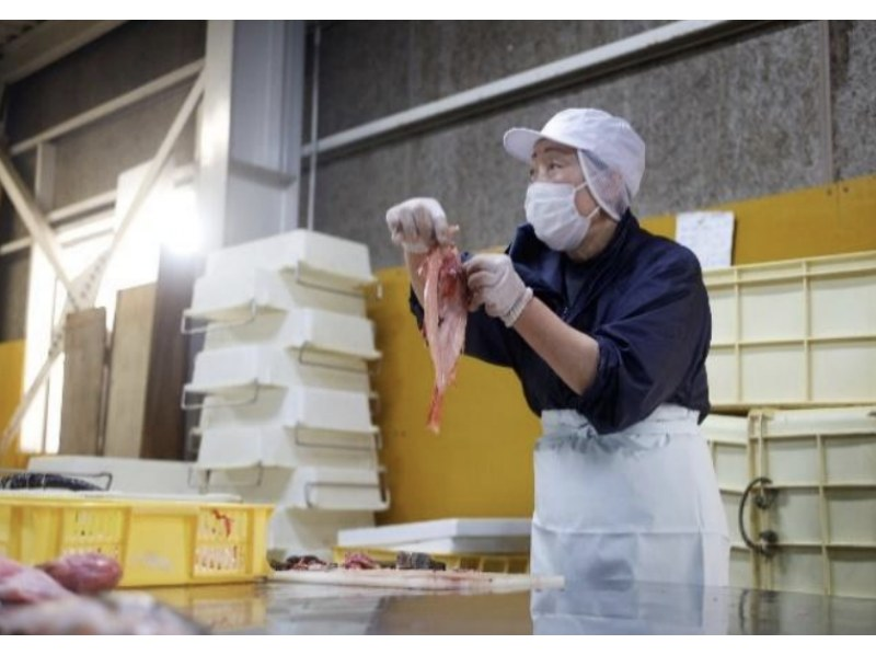 [Hokkaido, Abashiri] Learn how to make "seasonal fish" in a northern port town ~ Experience making dried fish in Abashiri, the town of drift ice ~の紹介画像