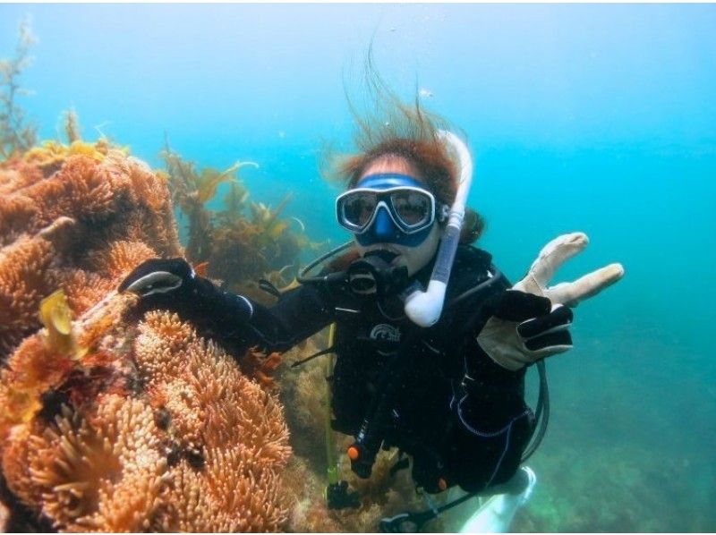 [Yokohama 10 minutes from]Diving Let's get started ♪ Beginner Obtain Diving Certification courseの紹介画像