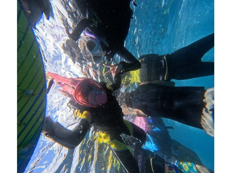 [Okinawa • Yomitan Village] Whale shark tour Private snorkel tour 1 group private plan with exclusive guideの紹介画像