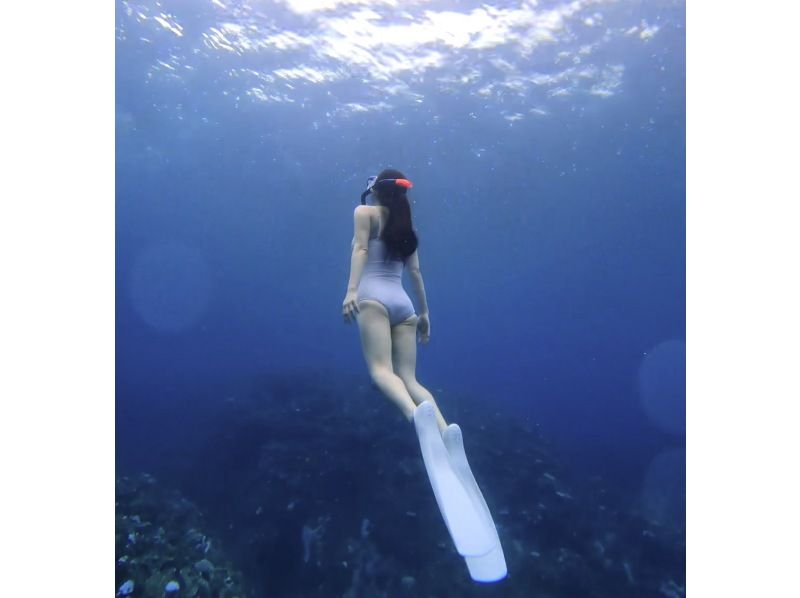 【沖縄・宮古島】⭐️アルファード送迎付⭐️一組限定・貸切　超豪華VIP ウミガメシュノーケリングorスキンダイビングツアー！の紹介画像