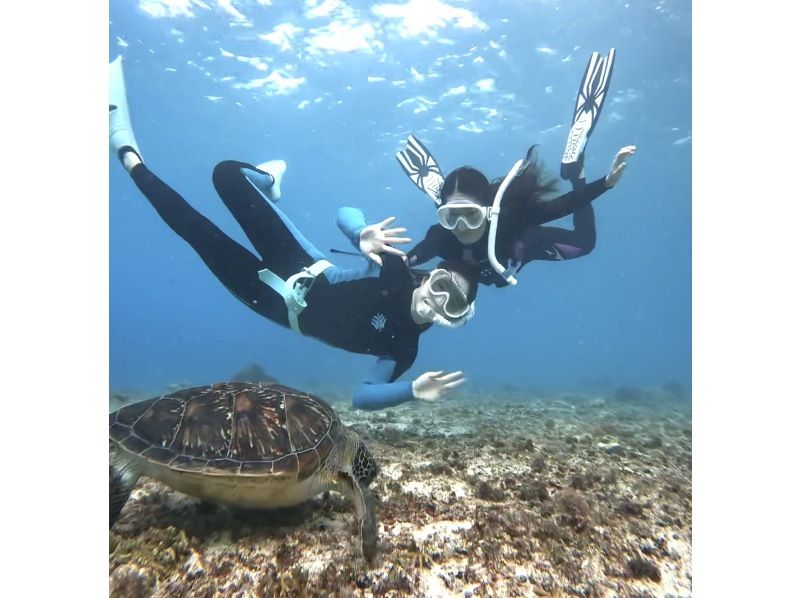 【沖縄・宮古島】⭐️アルファード送迎付⭐️一組限定・貸切　超豪華VIP ウミガメシュノーケリングorスキンダイビングツアー！の紹介画像