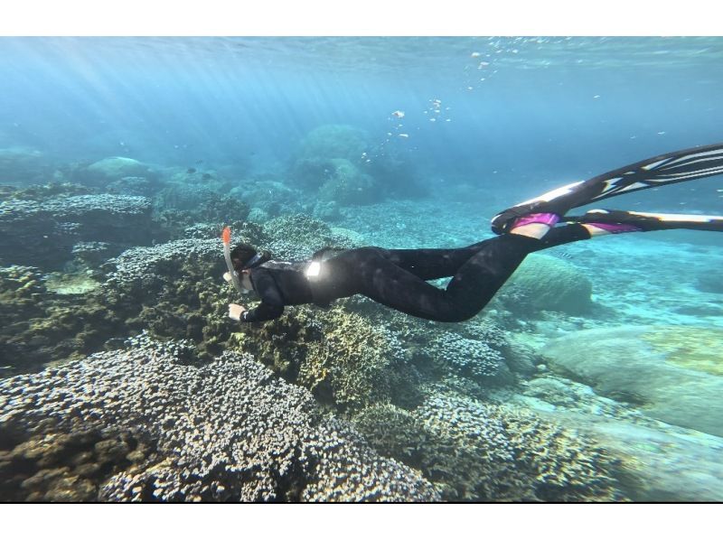 【宮古島・1人参加限定・送迎付き】シニア層にも大人気！⭐️70歳以上も可能⭐️【完全貸し切りお一人様限定】ウミガメプライベートVIPツアー！の紹介画像