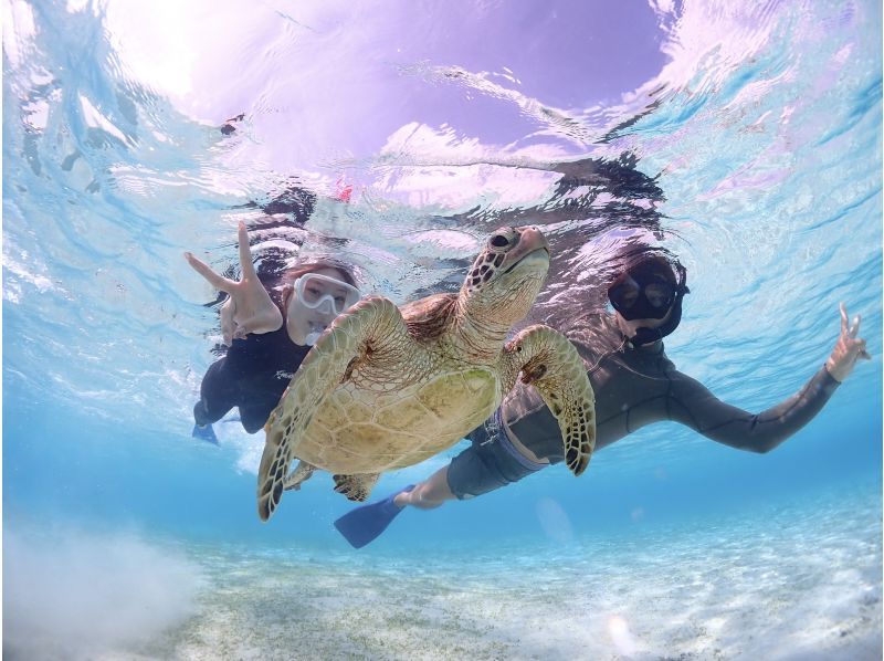 Miyakojima "If you get lost, try this!" [SUP tour & sea turtle snorkeling] Encounter rate continues to be 100%! ★ Same-day reservations OK! ★ Free photo dataの紹介画像