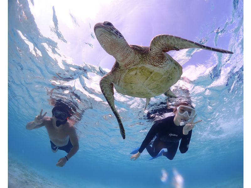 Miyakojima "If you get lost, try this!" [SUP tour & sea turtle snorkeling] Encounter rate continues to be 100%! ★ Same-day reservations OK! ★ Free photo dataの紹介画像