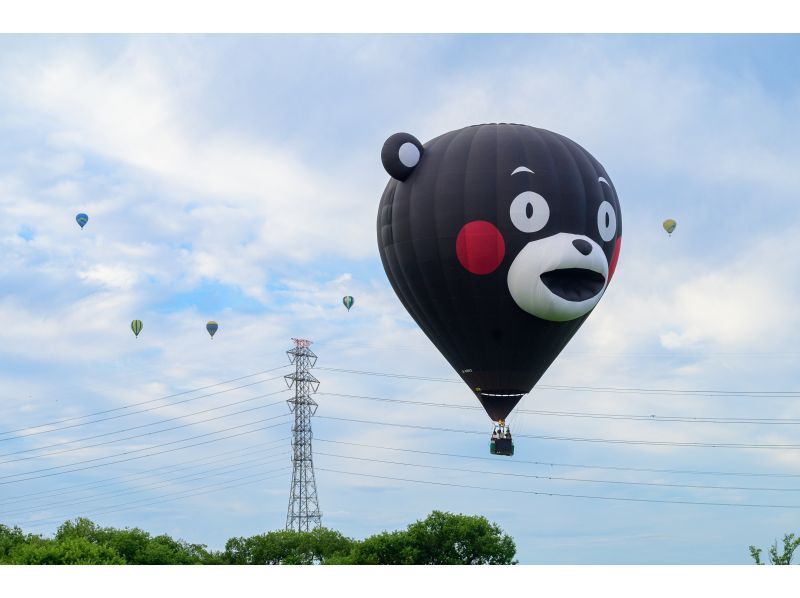 【栃木・渡良瀬】◇プライベート◇ふたりだけ特別な熱気球フライト体験の紹介画像