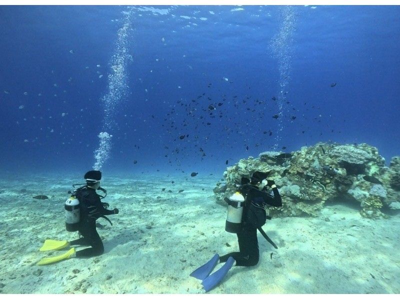 【沖縄・水納島・瀬底島】半日お得に２ダイブプラン！１グループにベテランガイド貸切！無料撮影込み日帰り離島FUNダイビング