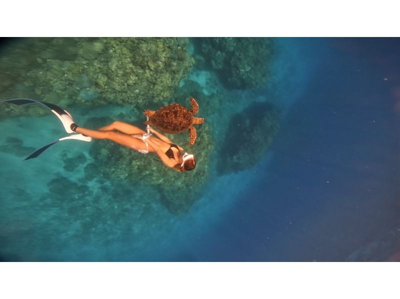 【沖縄・那覇発】ケラマ体験スキンダイビング半日ツアーの紹介画像