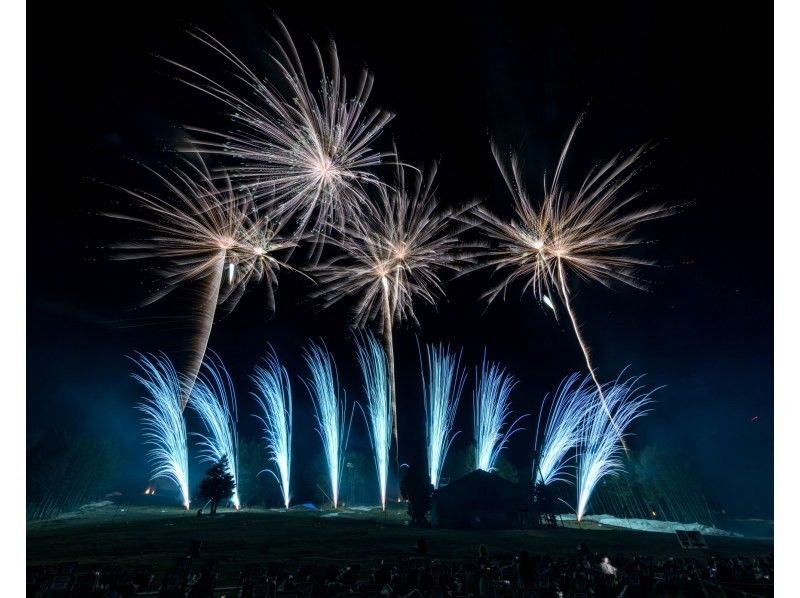 【富士山】The 絶景花火「Mt. Fuji」2026～日本の極み古今無双～の紹介画像