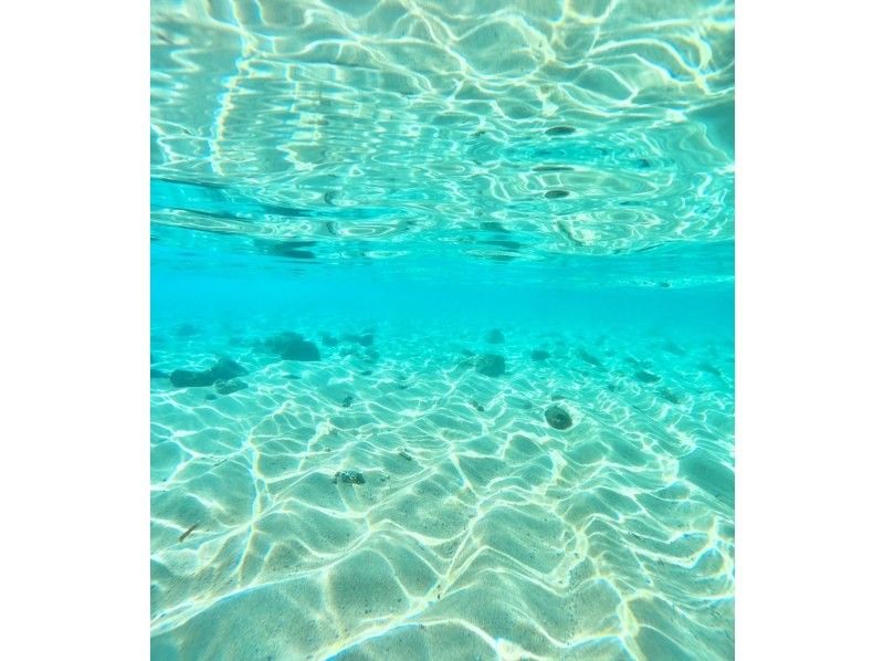 Miracle Island for your own use!? [Phantom Island Landing] Family discount★Same-day reservations★4 trips per day★Snorkeling included! Even if you just want to land, you are welcome★Free transportation and equipment! Ages 0 to 90 welcome♪の紹介画像