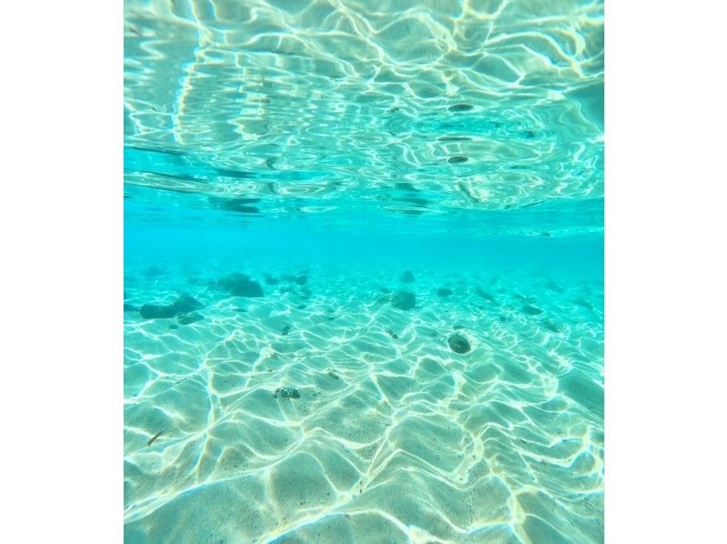 ANA誌掲載★奇跡の島が貸切!?【幻の島上陸】家族割★当日予約★シュノーケル込み!上陸だけでも大歓迎★送迎・機材無料!0歳〜90歳ご案内♪の紹介画像