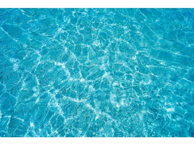 ANA誌掲載★奇跡の島が貸切!?【幻の島上陸】家族割★当日予約★シュノーケル込み!上陸だけでも大歓迎★送迎・機材無料!0歳〜90歳ご案内♪の紹介画像