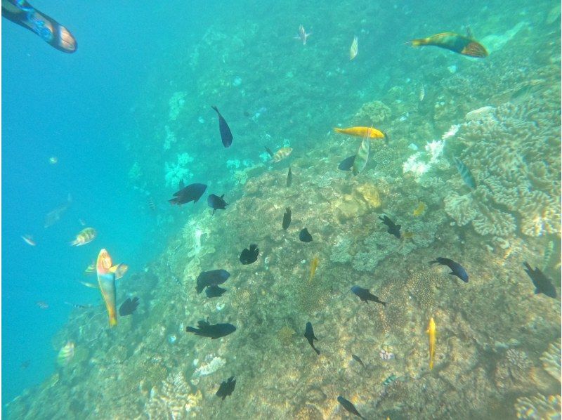 [Okinawa, Yomitan Village] Beginners welcome! One group fully reserved, free photos! Secret Beach SUP & Snorkeling Tour! Make the best memories in the beautiful sea of the west coast ♪の紹介画像