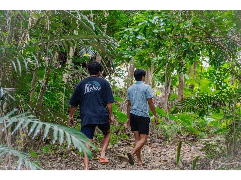 [Ishigaki Island / Private tour for 1 group] Hidden beach SUP & jungle exploration tour! Free 5.4K drone & high quality SLR photography included! Guided by a professional island photographer!の紹介画像