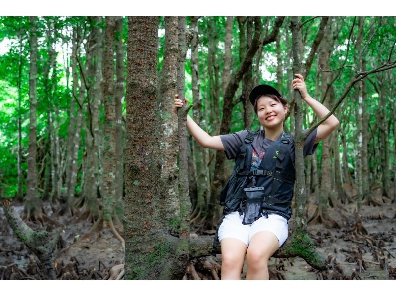 [Small group/SUP/canoe] Ishigaki Island's first! Superb sunset & mangrove drone/SLR photography included "Orange-tinted ocean and tropical rainforest" guided by a professional island photographerの紹介画像