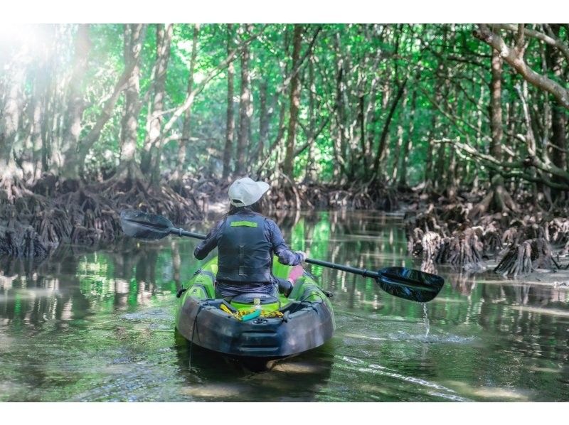 [Small group/SUP/canoe] Ishigaki Island's first! Superb sunset & mangrove drone/SLR photography included "Orange-tinted ocean and tropical rainforest" guided by a professional island photographerの紹介画像