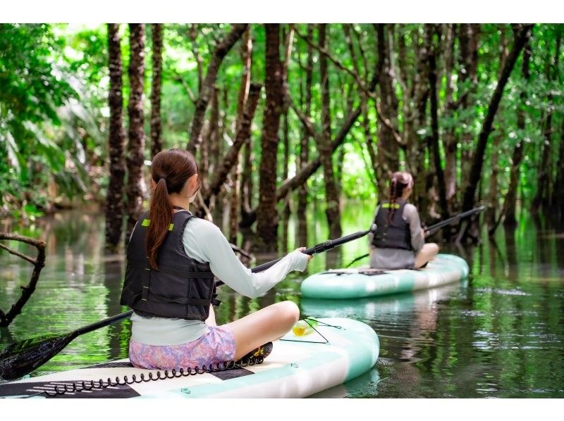 [Small group/SUP/canoe] Ishigaki Island's first! Superb sunset & mangrove drone/SLR photography included "Orange-tinted ocean and tropical rainforest" guided by a professional island photographerの紹介画像