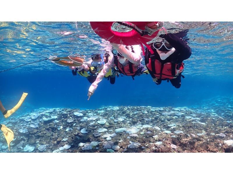 【伊良部島/贅沢プラン】地元出身ガイドならではの特別なシュノーケル体験を♪大自然を満喫する贅沢なツアーへご案内！の紹介画像