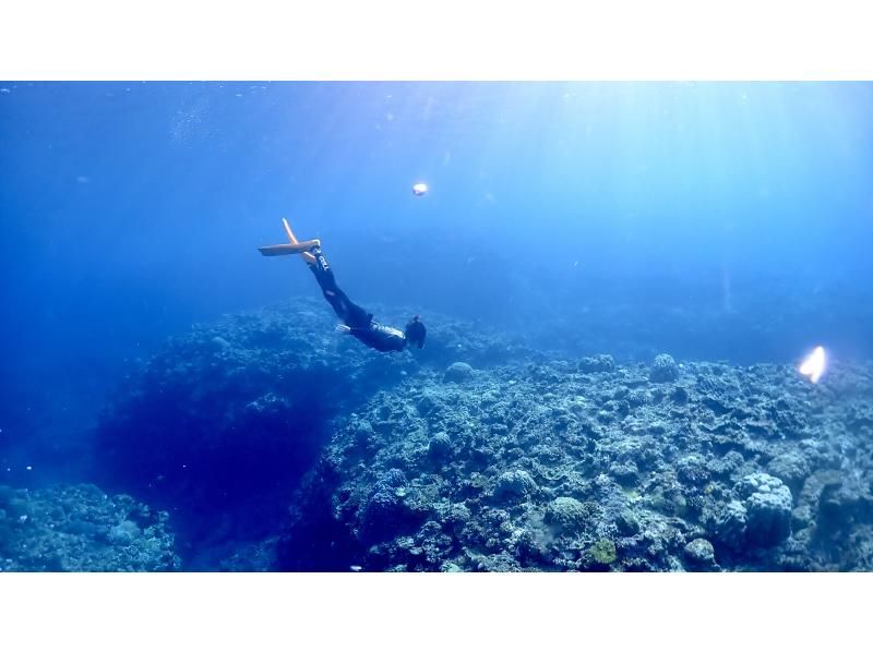 【伊良部島/贅沢プラン】地元出身ガイドならではの特別なシュノーケル体験を♪大自然を満喫する贅沢なツアーへご案内！の紹介画像