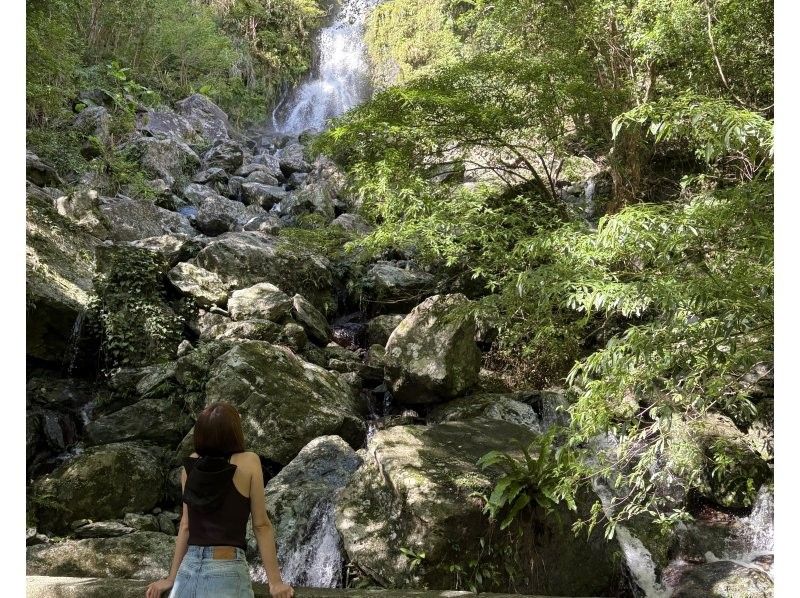 【奄美大島 / 1組様限定貸切案内】マングローブカヌーと巨大豆の木と神秘の滝ツアーの紹介画像