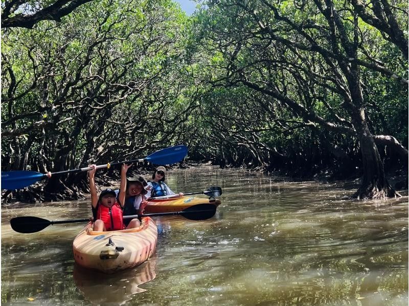 【奄美大島 / 1組様限定貸切案内】マングローブカヌーと巨大豆の木と神秘の滝ツアーの紹介画像