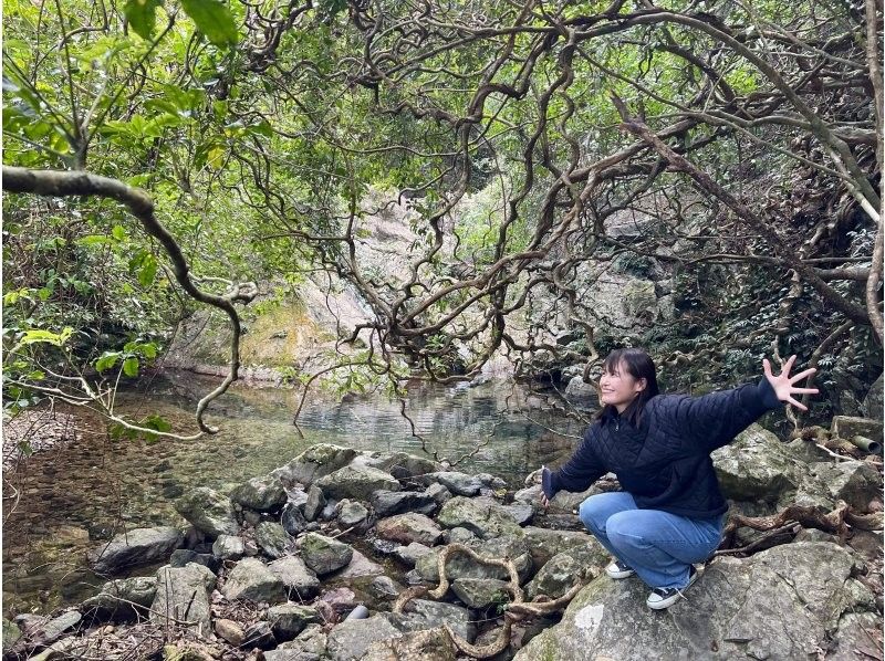 【奄美大島 / 1組様限定貸切案内】マングローブカヌーと巨大豆の木と神秘の滝ツアーの紹介画像