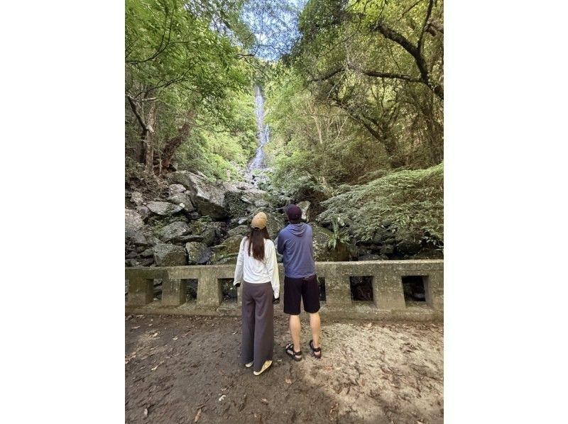 【奄美大島 / 1組様限定貸切案内】マングローブカヌーと巨大豆の木と神秘の滝ツアーの紹介画像