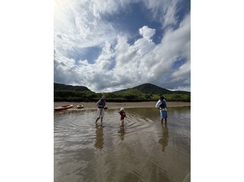 【奄美大島 / 1組様限定貸切案内】マングローブカヌーと巨大豆の木と神秘の滝ツアーの紹介画像