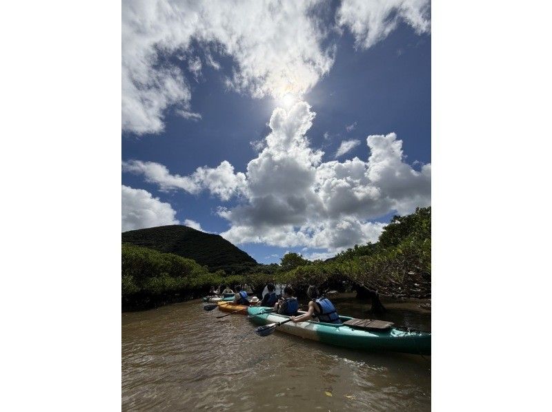 【奄美大島 / 1組様限定貸切案内】マングローブカヌーと巨大豆の木と神秘の滝ツアーの紹介画像