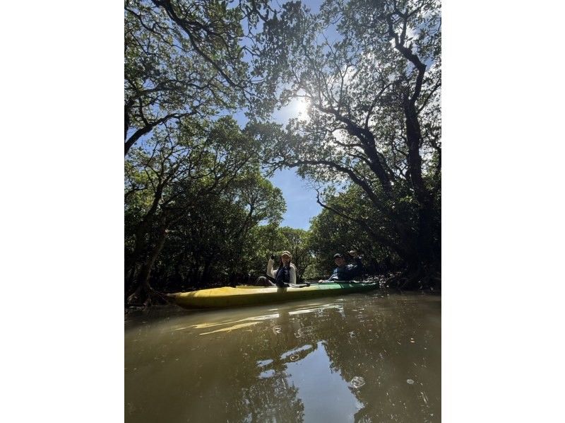 【奄美大島 / 1組様限定貸切案内】マングローブカヌーと巨大豆の木と神秘の滝ツアーの紹介画像