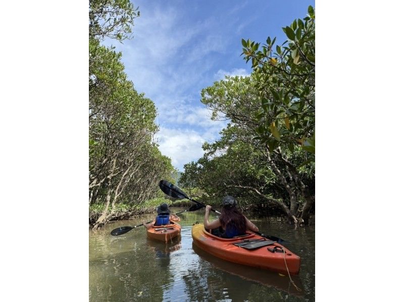 【奄美大島 / 1組様限定貸切案内】マングローブカヌーと巨大豆の木と神秘の滝ツアーの紹介画像