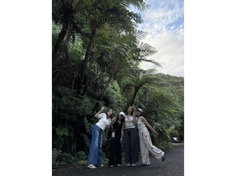 【奄美大島 / 1組様限定貸切案内】マングローブカヌーと巨大豆の木と神秘の滝ツアーの紹介画像