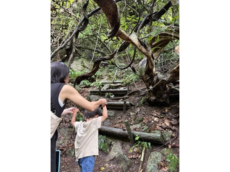 【奄美大島 / 1組様限定貸切案内】マングローブカヌーと巨大豆の木と神秘の滝ツアーの紹介画像