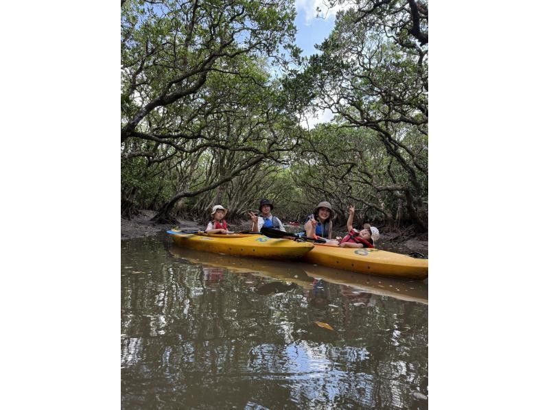 【奄美大島 / 1組様限定貸切案内】2時間マングローブカヌーの紹介画像