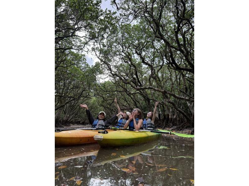 【奄美大島 / 1組様限定貸切案内】2時間マングローブカヌーの紹介画像