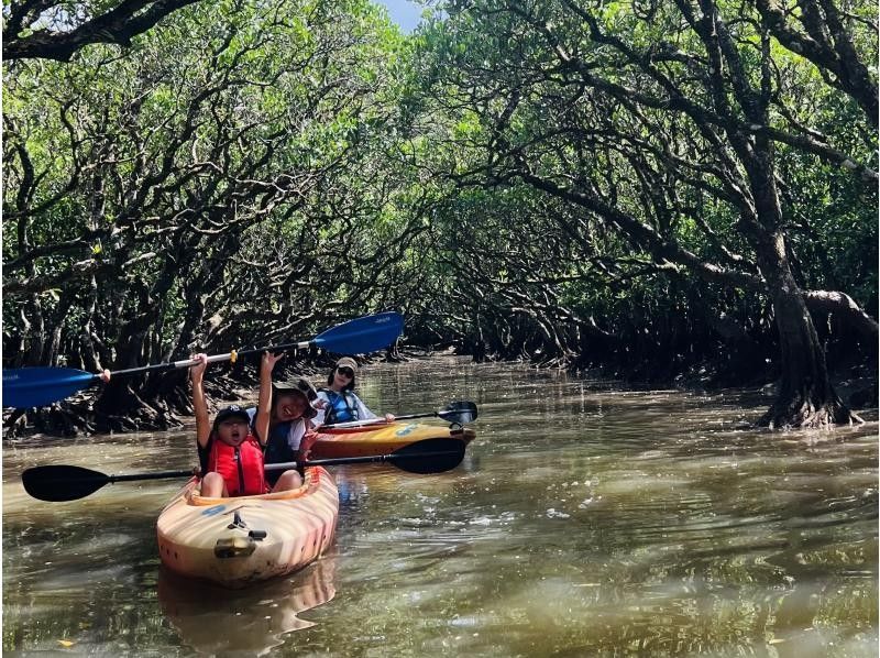 【奄美大島 / 1組様限定貸切案内】2時間マングローブカヌーの紹介画像