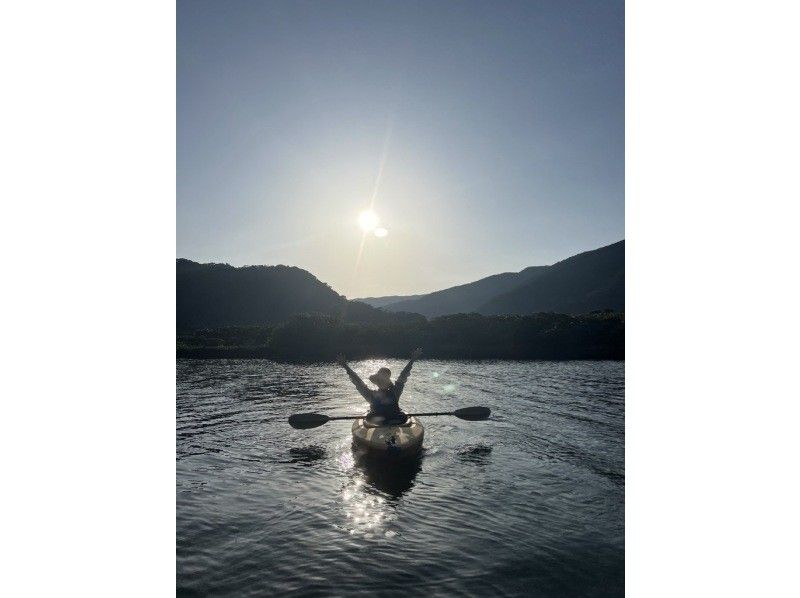 【奄美大島 / 1組様限定貸切案内】2時間マングローブカヌーの紹介画像