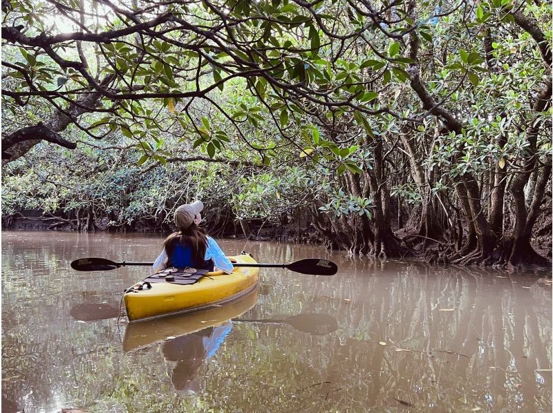 【奄美大島 / 1組様限定貸切案内】2時間マングローブカヌーの紹介画像