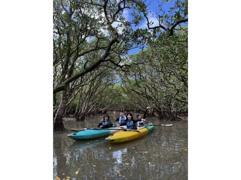【奄美大島 / 1組様限定貸切案内】2時間マングローブカヌーの紹介画像